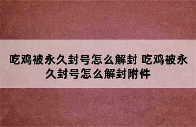 吃鸡被永久封号怎么解封 吃鸡被永久封号怎么解封附件